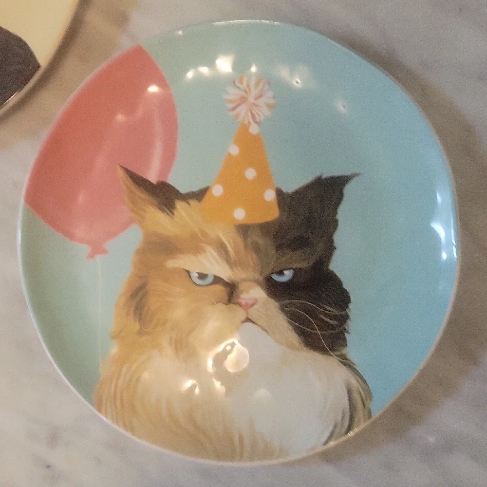 Pier 1 Set Of 3 Ironstone Party Cat Salad Plates